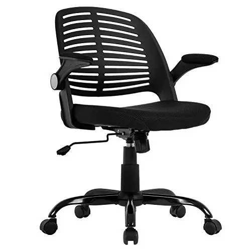 Home Office Chair, Executive Rolling Swivel Ergonomic Chair, Computer Chair with Flip Up Arms Lumbar Support Task Mesh…