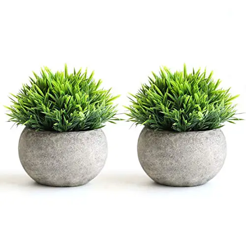 THE BLOOM TIMES 2 Pcs Fake Plants for Bathroom/Home Office Decor, Small Artificial Faux Greenery for House Decorations…