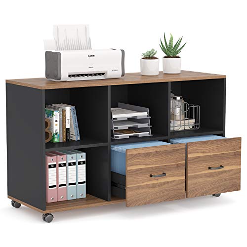 Tribesigns 2 Drawers Lateral File Cabinets Letter Size, 43 inches Mobile Filing Cabinet Printer Stand Office Cabinet…
